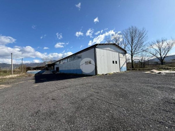 locale commerciale in affitto a Cassino