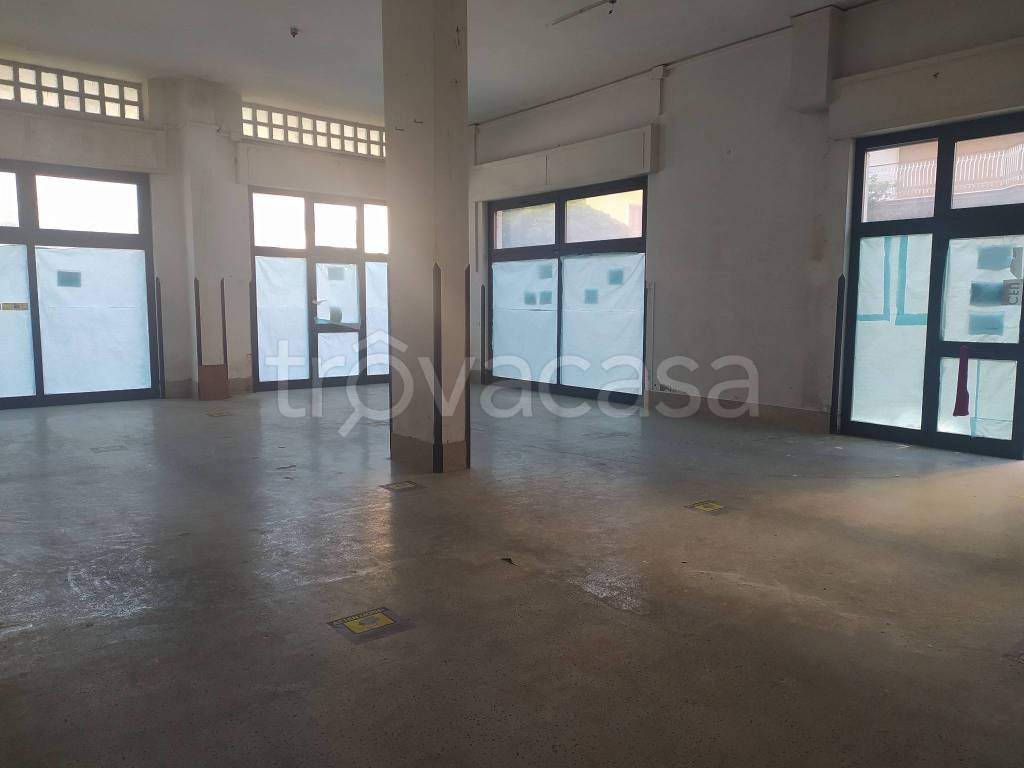 negozio in affitto a Cassino