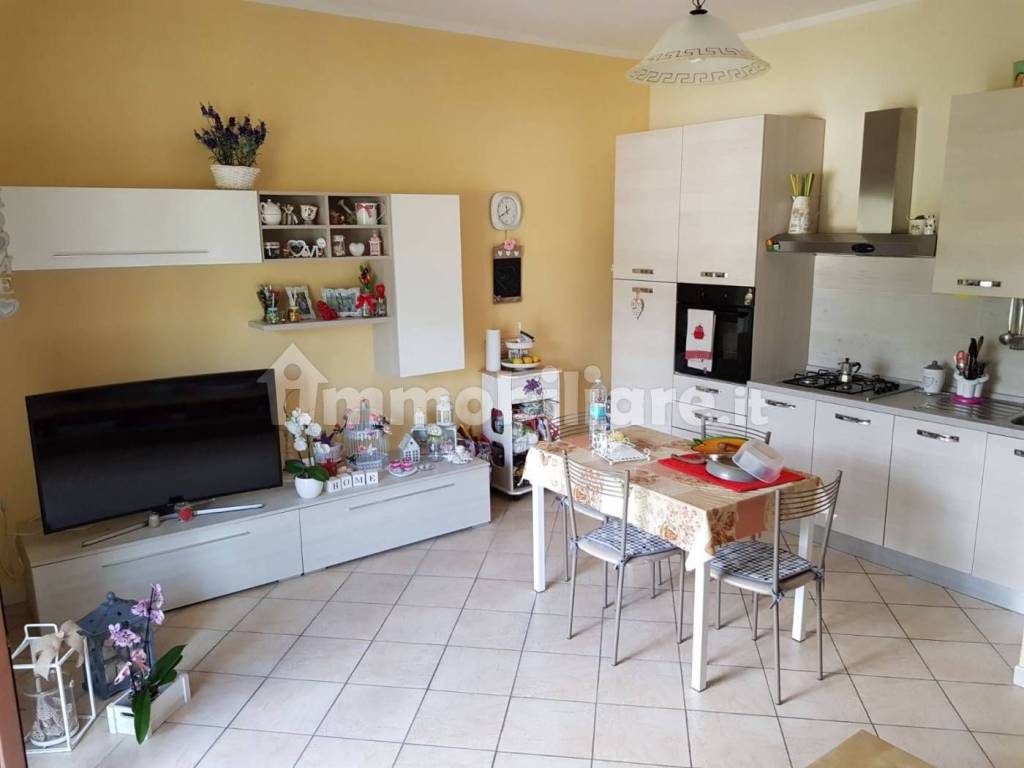appartamento in affitto a Cassino