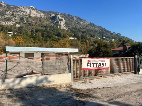 negozio in affitto a Cassino