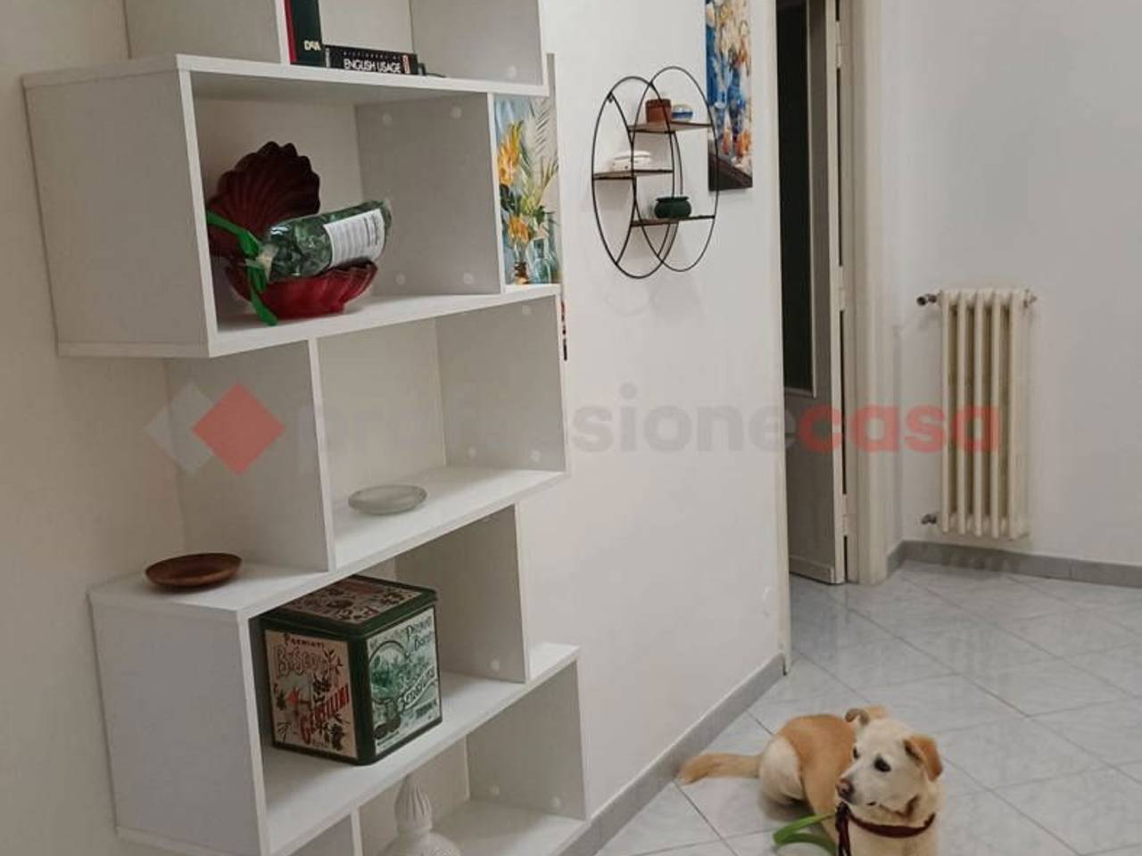 appartamento in affitto a Cassino