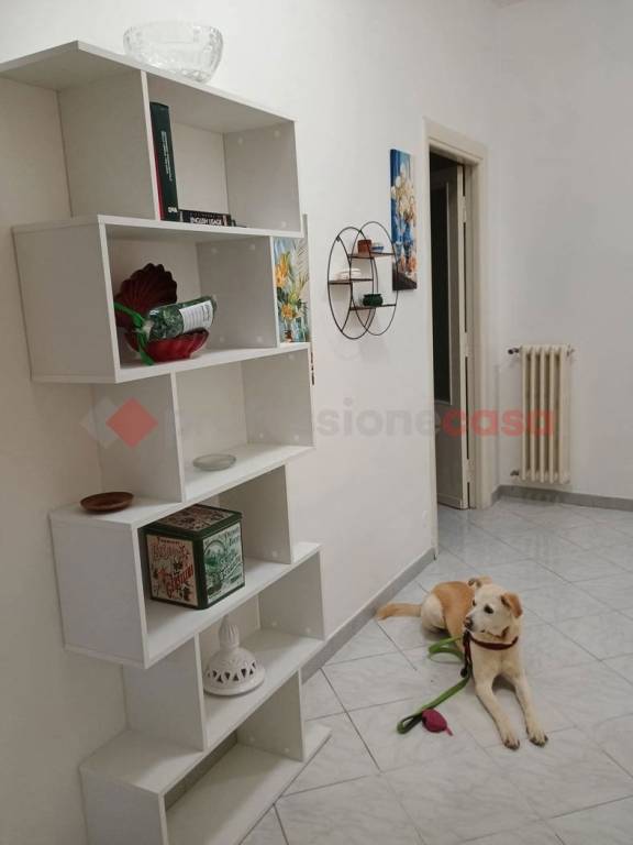 appartamento in affitto a Cassino