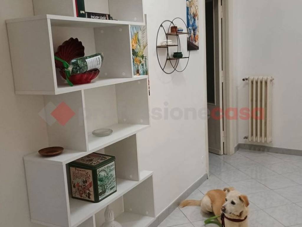 appartamento in affitto a Cassino