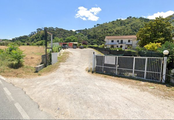 negozio in affitto a Cassino