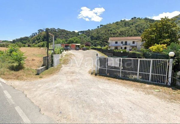 negozio in affitto a Cassino