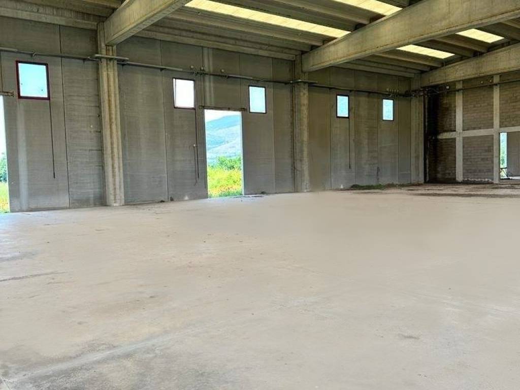 locale commerciale in affitto a Cassino