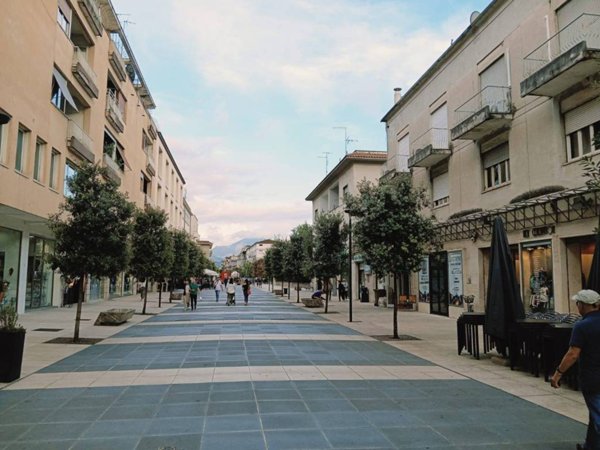 negozio in affitto a Cassino