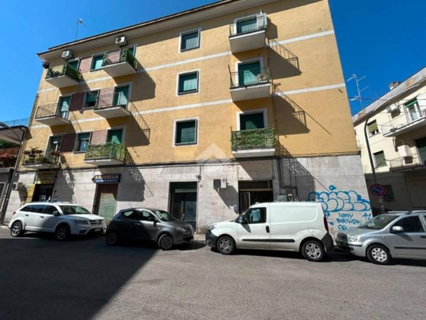 negozio in affitto a Cassino