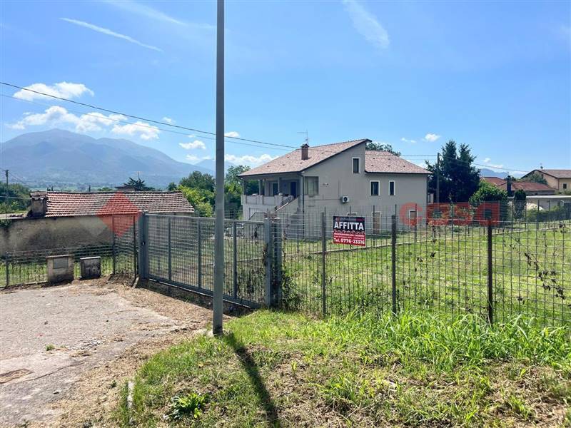 negozio in affitto a Cassino