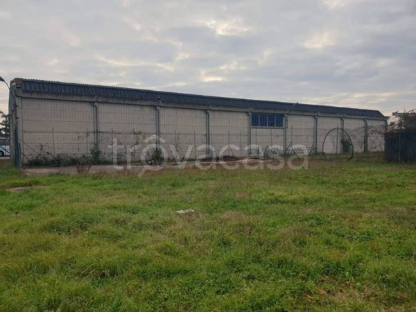 locale commerciale in affitto a Ceccano