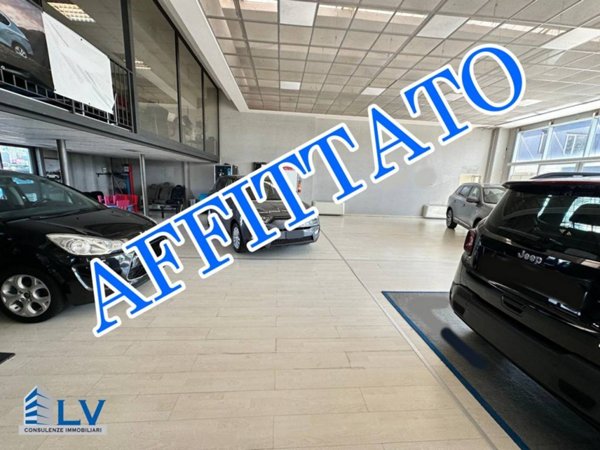 negozio in affitto a Ceccano