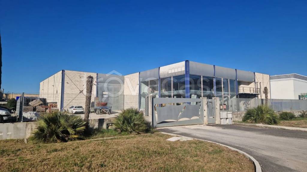 appartamento in affitto a Ceccano