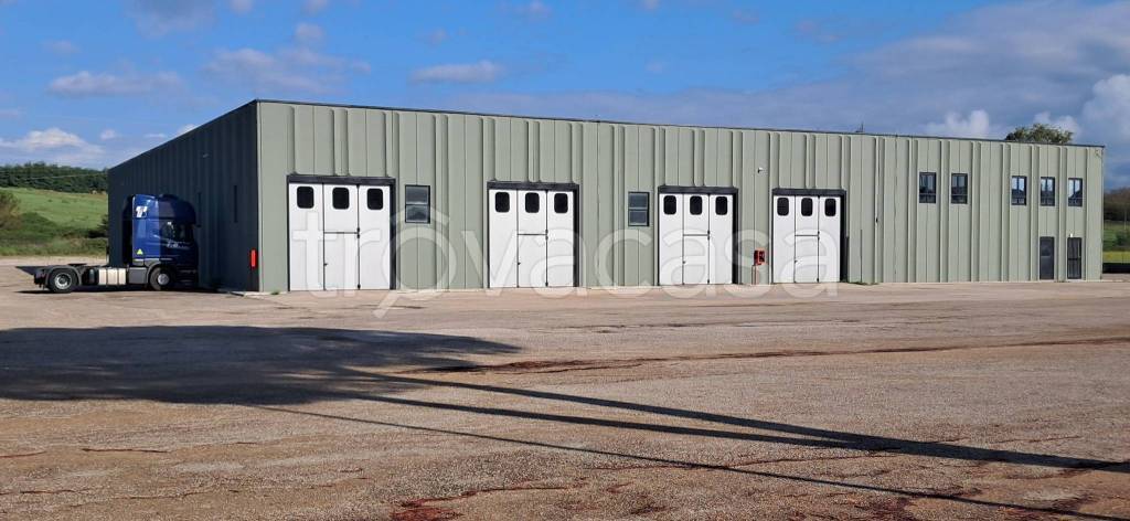 capannone in affitto a Ceccano