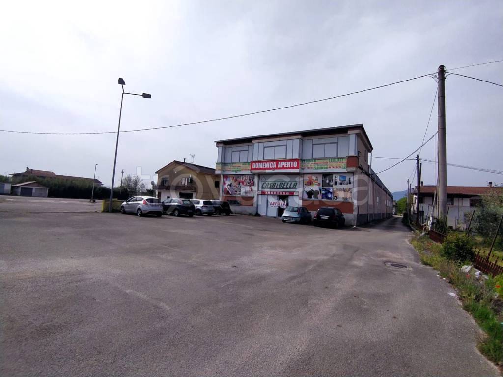 negozio in affitto a Ferentino