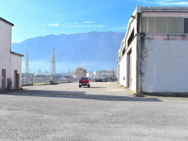 capannone in affitto a Ferentino