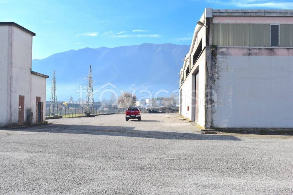capannone in affitto a Ferentino