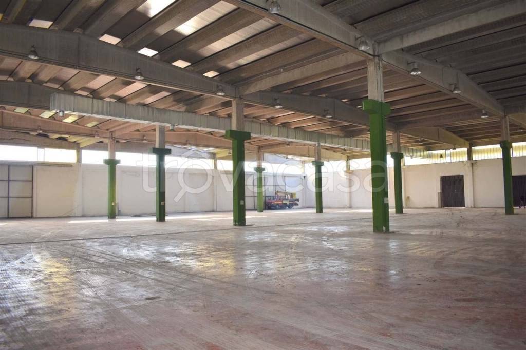 capannone in affitto a Ferentino