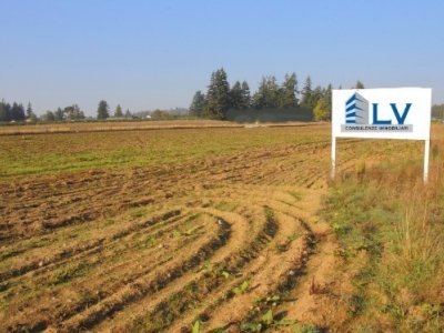 terreno agricolo in affitto a Ferentino