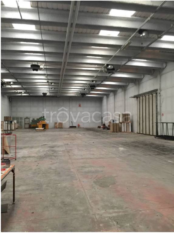 capannone in affitto a Ferentino