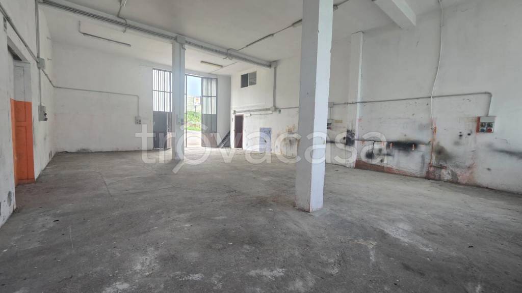 negozio in affitto a Ferentino