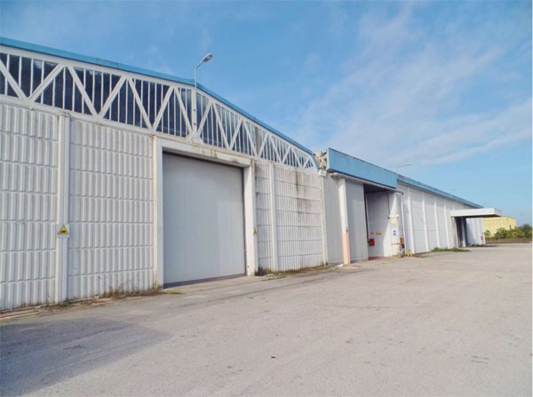 capannone in affitto a Ferentino