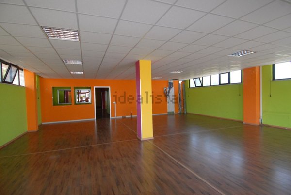 ufficio in affitto a Ferentino