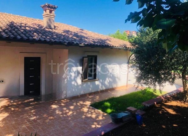 appartamento in affitto a Ferentino