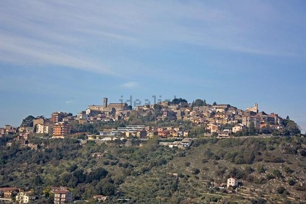 appartamento in affitto a Ferentino