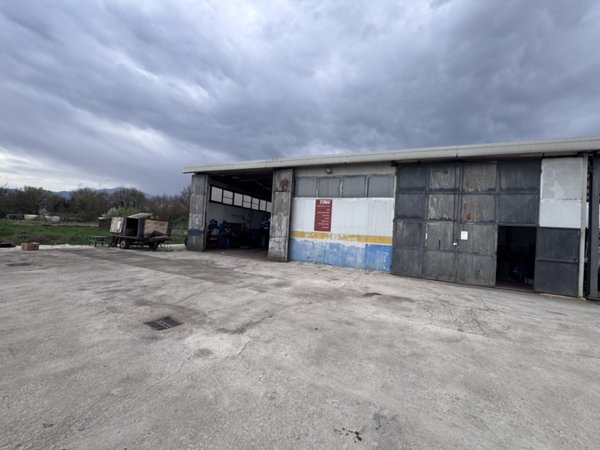 capannone in affitto a Ferentino