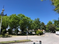 appartamento in affitto a Ferentino