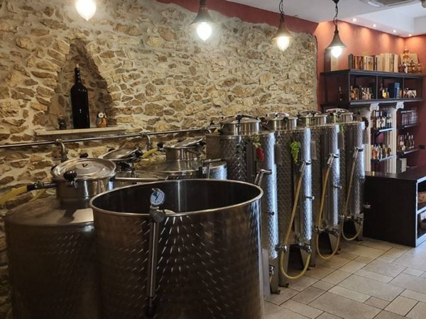 negozio in affitto a Ferentino