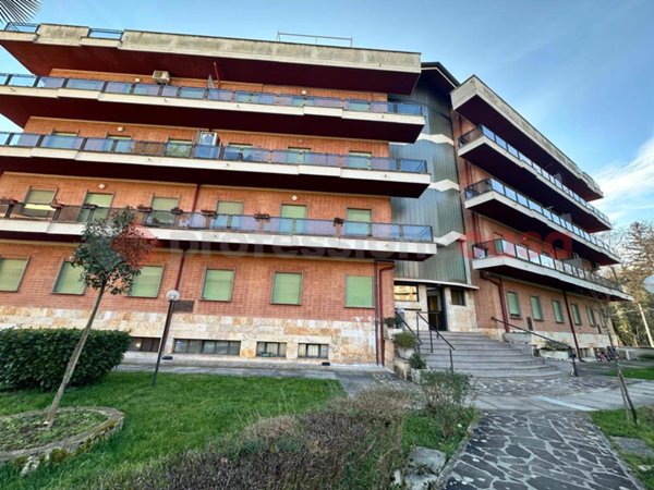appartamento in affitto a Fiuggi