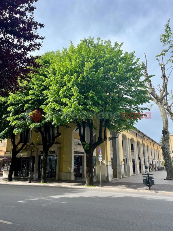 negozio in affitto a Fiuggi