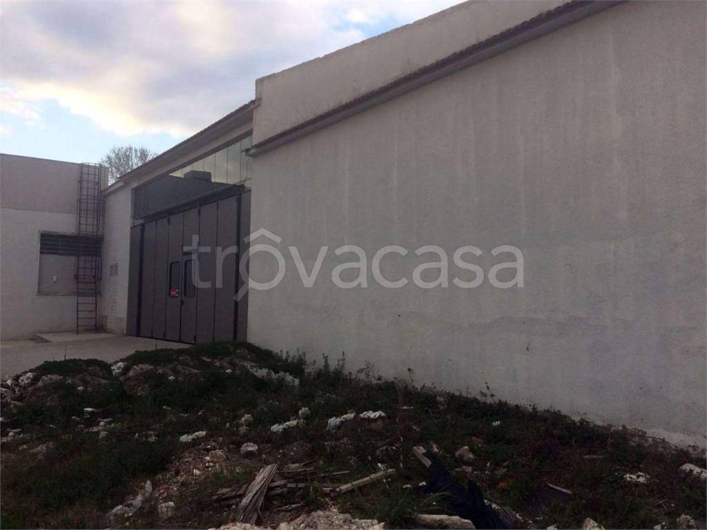 negozio in affitto a Frosinone