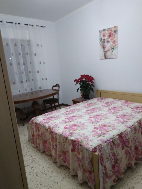appartamento in affitto a Frosinone