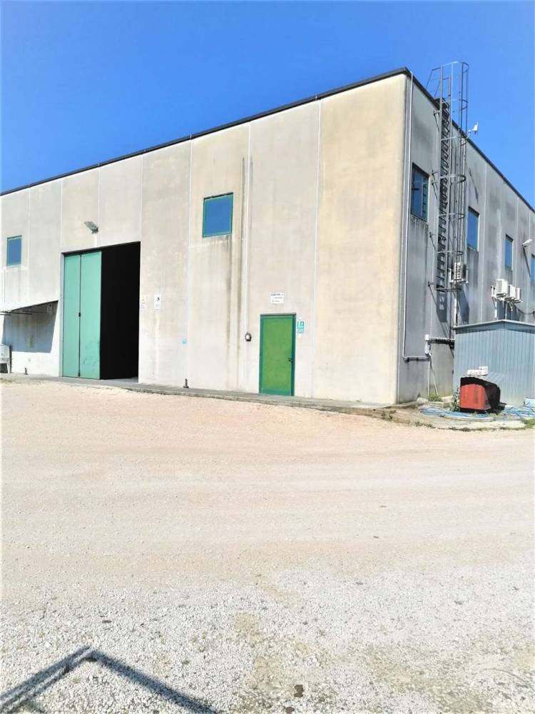 ufficio in affitto a Frosinone