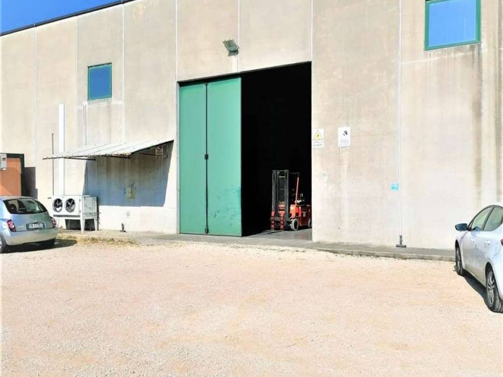 locale commerciale in affitto a Frosinone