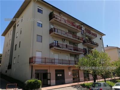 locale commerciale in affitto a Frosinone