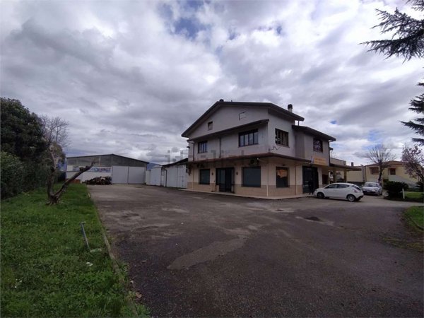 locale commerciale in affitto a Frosinone