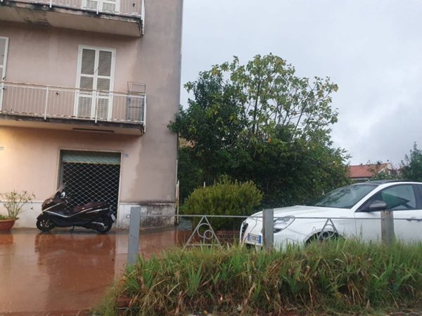 negozio in affitto a Frosinone