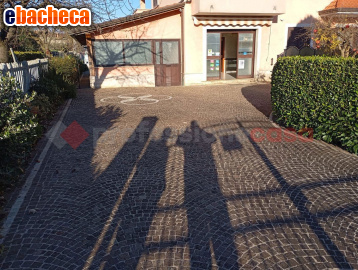 negozio in affitto a Frosinone