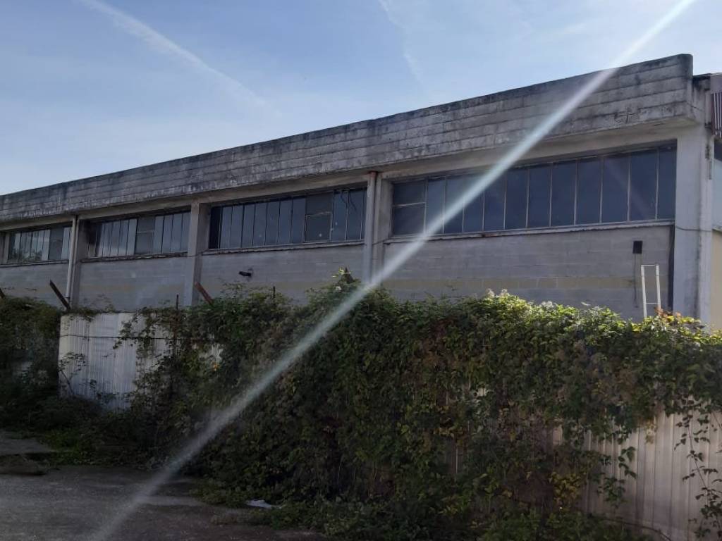 locale commerciale in affitto a Frosinone