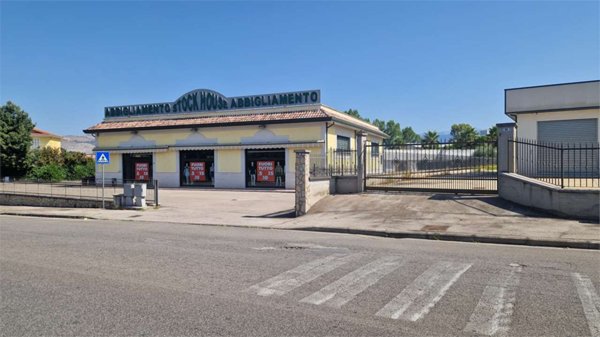negozio in affitto a Frosinone