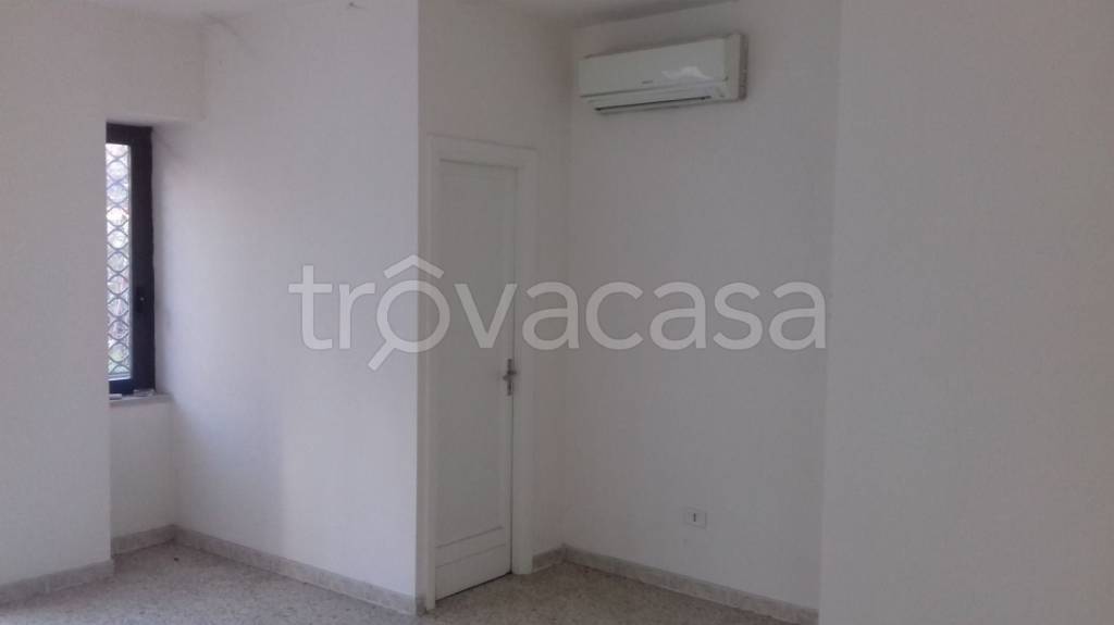 monolocale in affitto a Frosinone