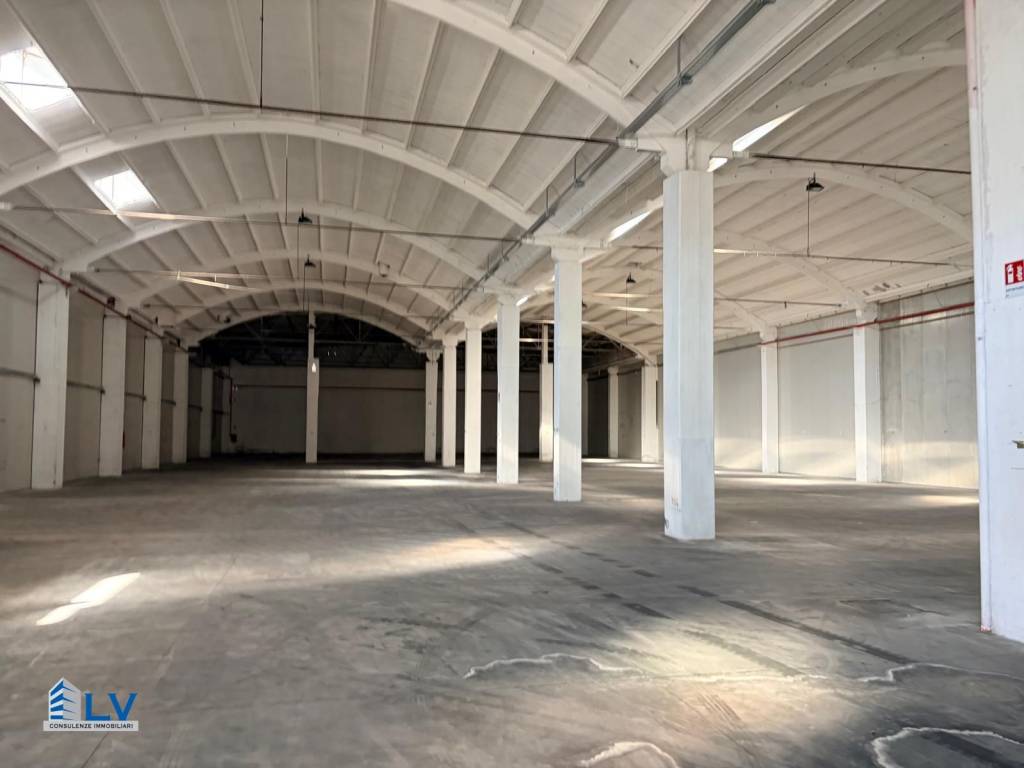 capannone in affitto a Frosinone
