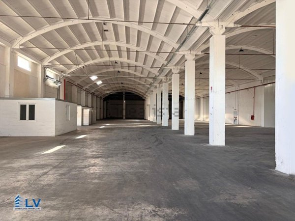 capannone in affitto a Frosinone