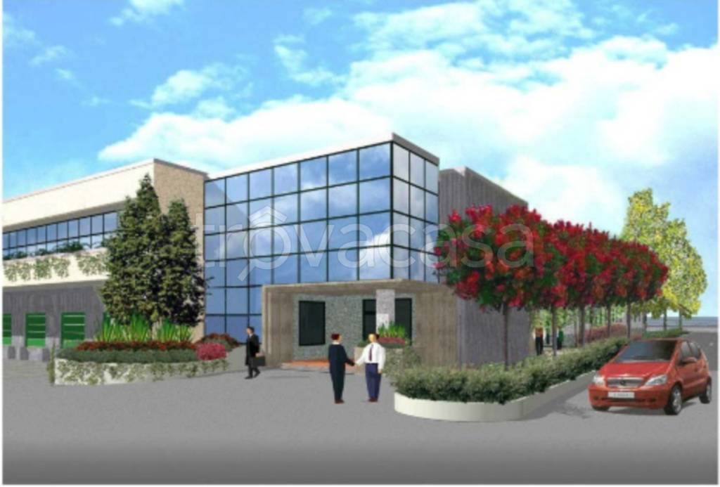 negozio in affitto a Frosinone