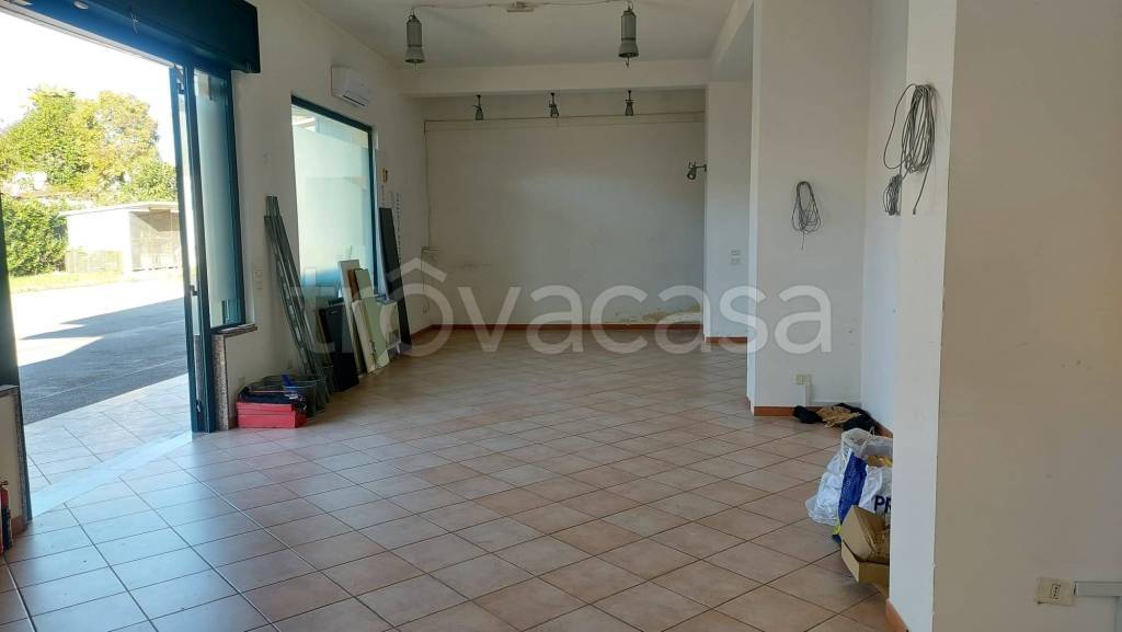 negozio in affitto a Frosinone