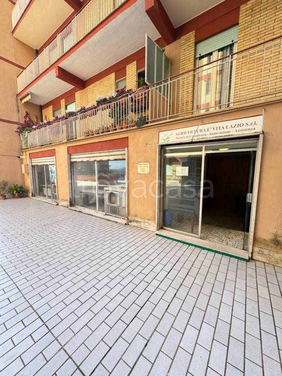 appartamento in affitto a Frosinone