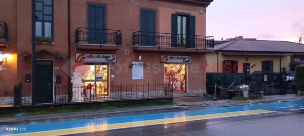 negozio in affitto a Frosinone